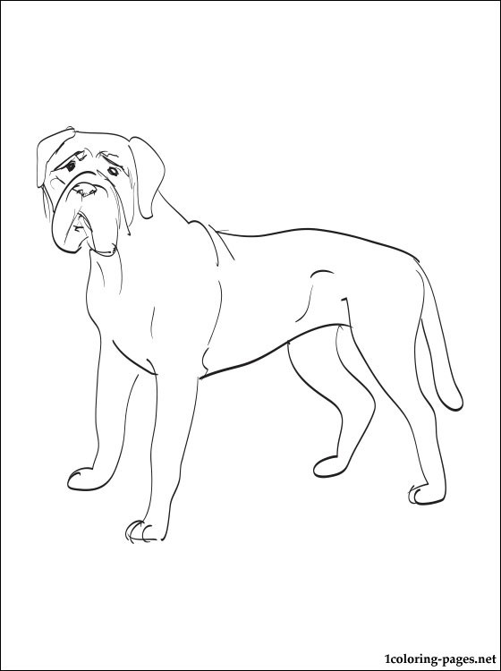 Bullmastiff coloring #5, Download drawings