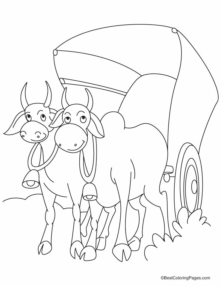 Bullock coloring #12, Download drawings