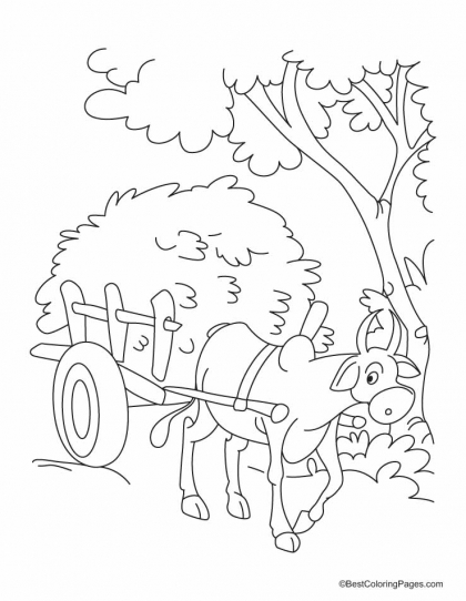 Bullock coloring #16, Download drawings