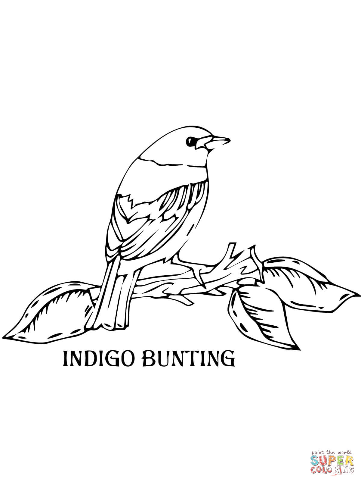 Indigo Bunting coloring #18, Download drawings