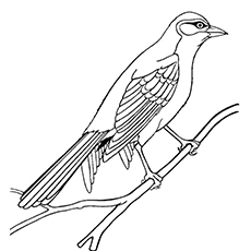 Snow Bunting coloring #13, Download drawings