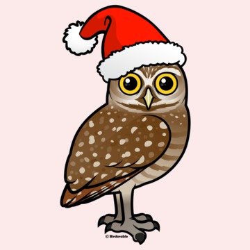 Burrowing Owl clipart #14, Download drawings