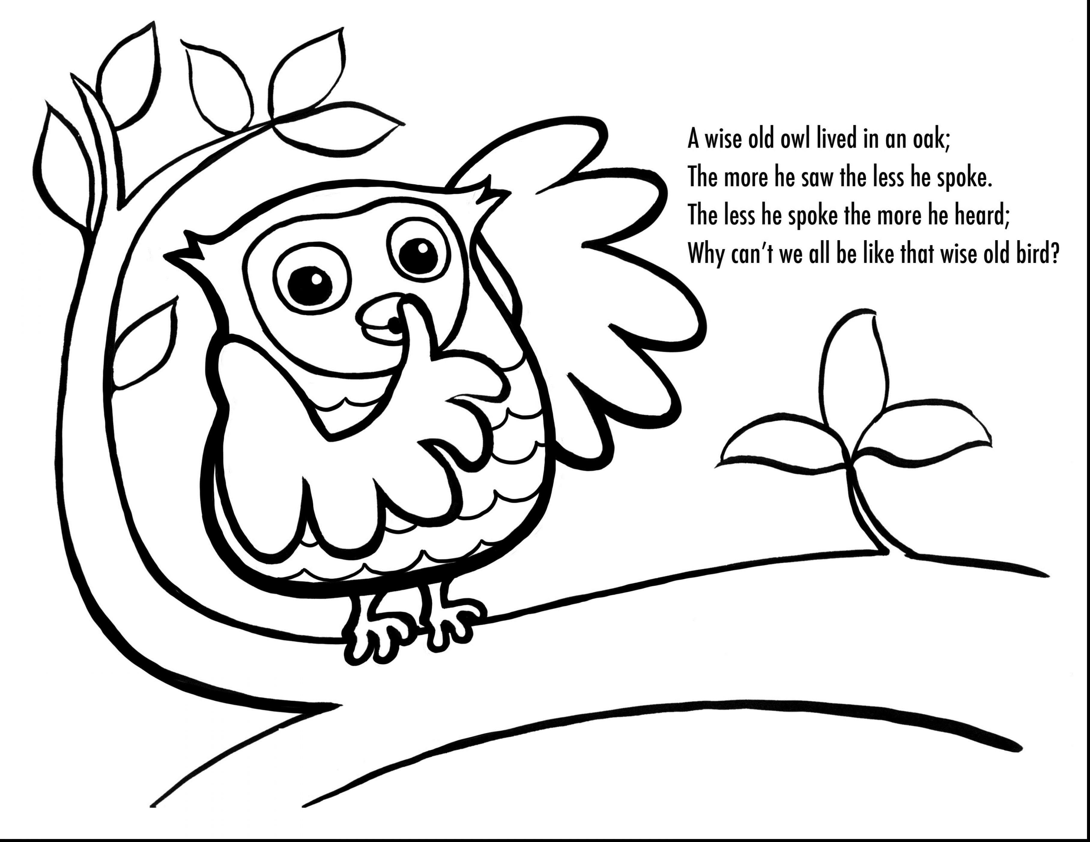 Burrowing Owl coloring #19, Download drawings