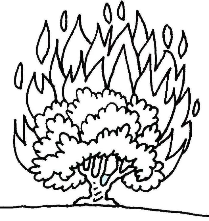 Bushfire coloring #18, Download drawings
