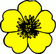 Buttercup clipart #19, Download drawings