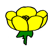 Buttercup clipart #3, Download drawings