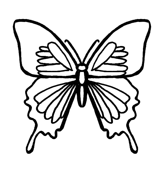 Butterfly coloring #7, Download drawings