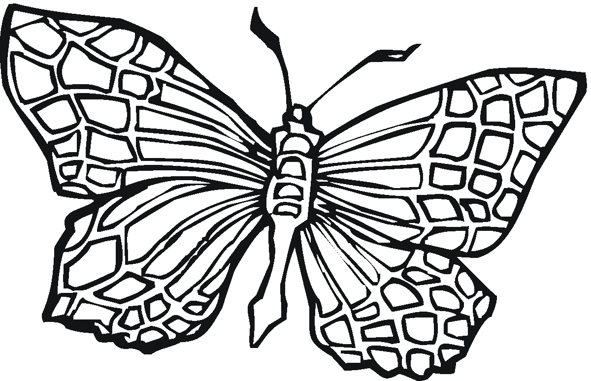 Butterfly coloring #19, Download drawings