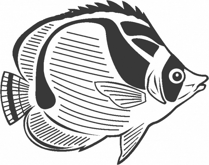 Butterflyfish coloring #18, Download drawings