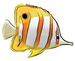 Butterflyfish coloring #11, Download drawings