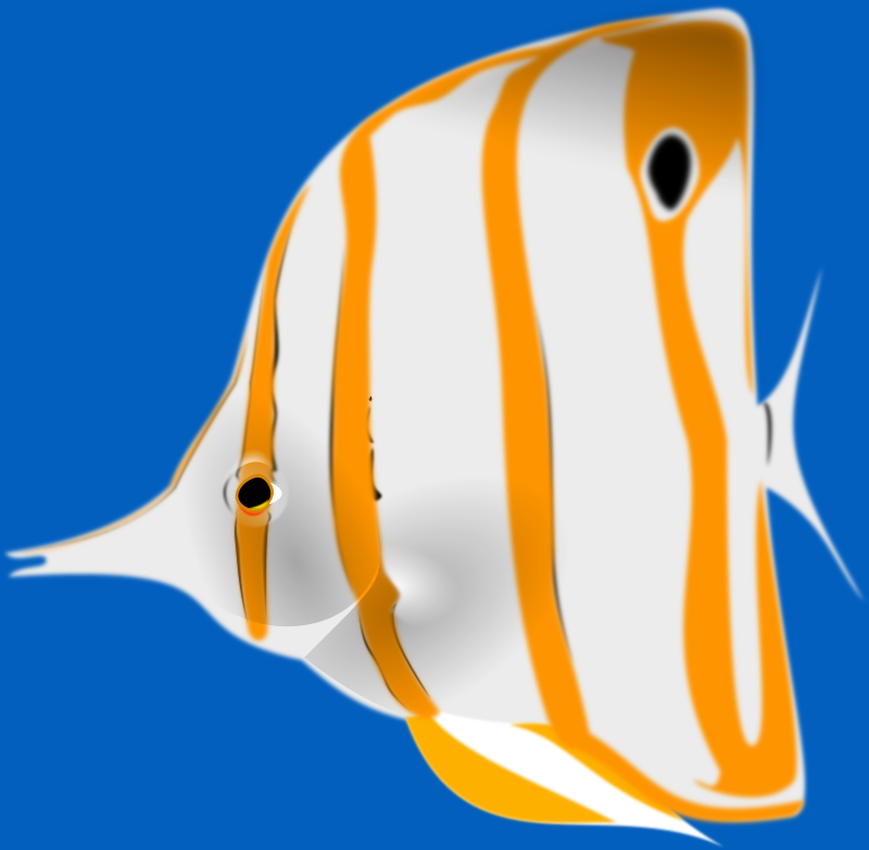 Butterflyfish svg #19, Download drawings