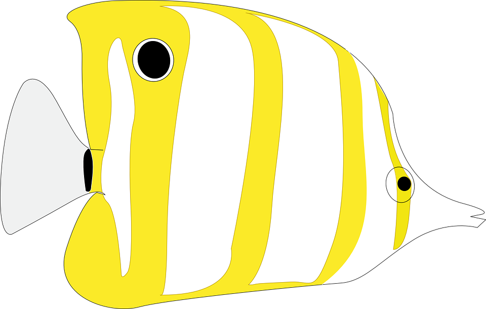 Butterflyfish svg #1, Download drawings