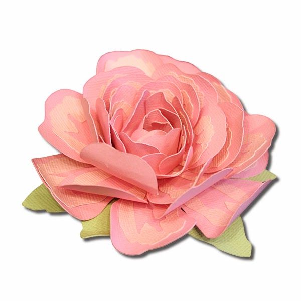 Cabbage Rose svg #11, Download drawings