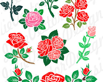 Cabbage Rose svg #6, Download drawings