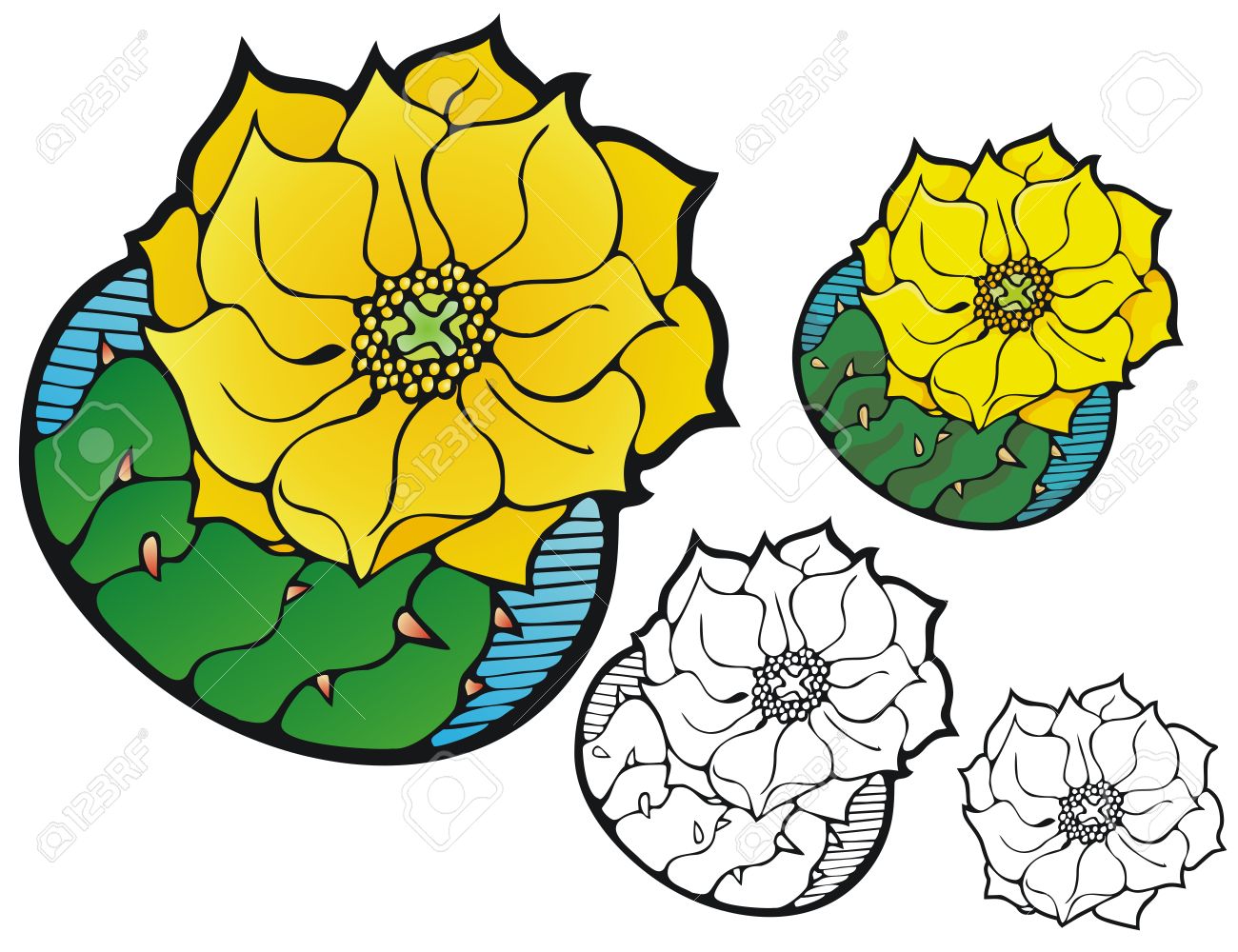 Cactus Blossom clipart #10, Download drawings