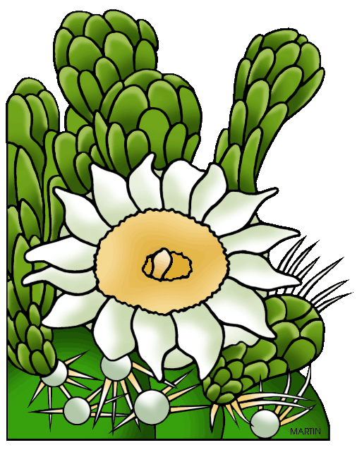 Cactus Blossom clipart #16, Download drawings