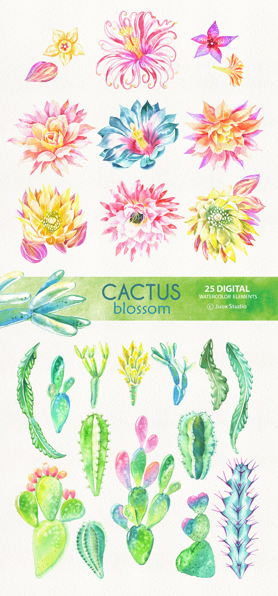 Cactus Blossom clipart #7, Download drawings
