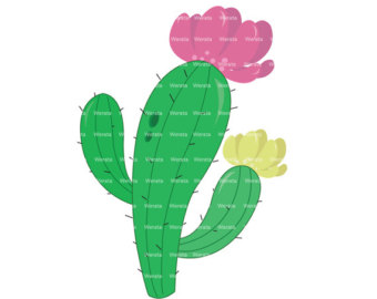 Cactus Blossom clipart #19, Download drawings