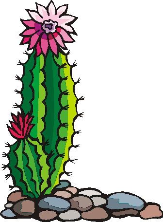 Cactus Blossom clipart #15, Download drawings
