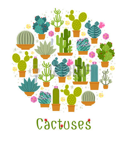 Cactus Blossom clipart #13, Download drawings