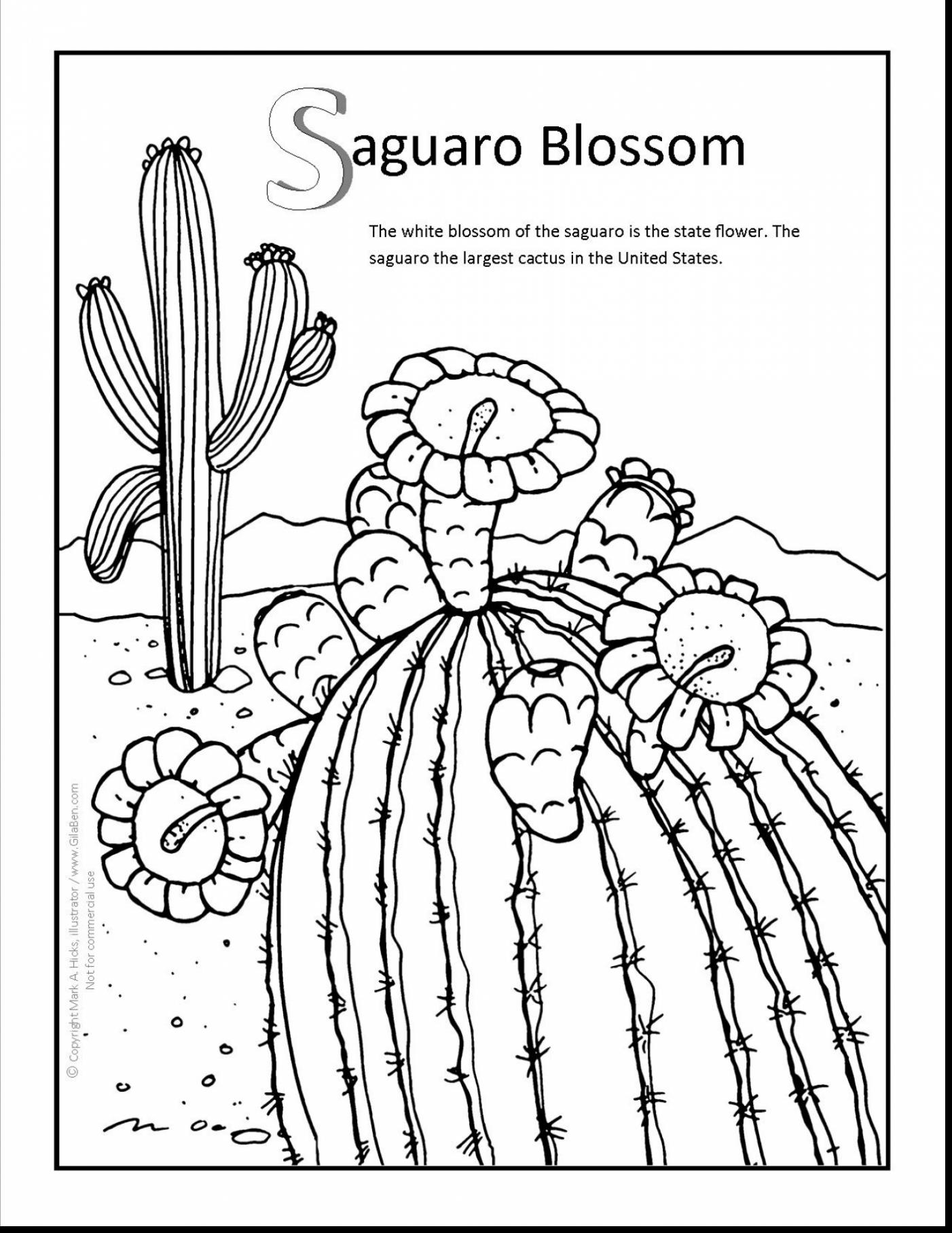 Cactus Blossom coloring #3, Download drawings