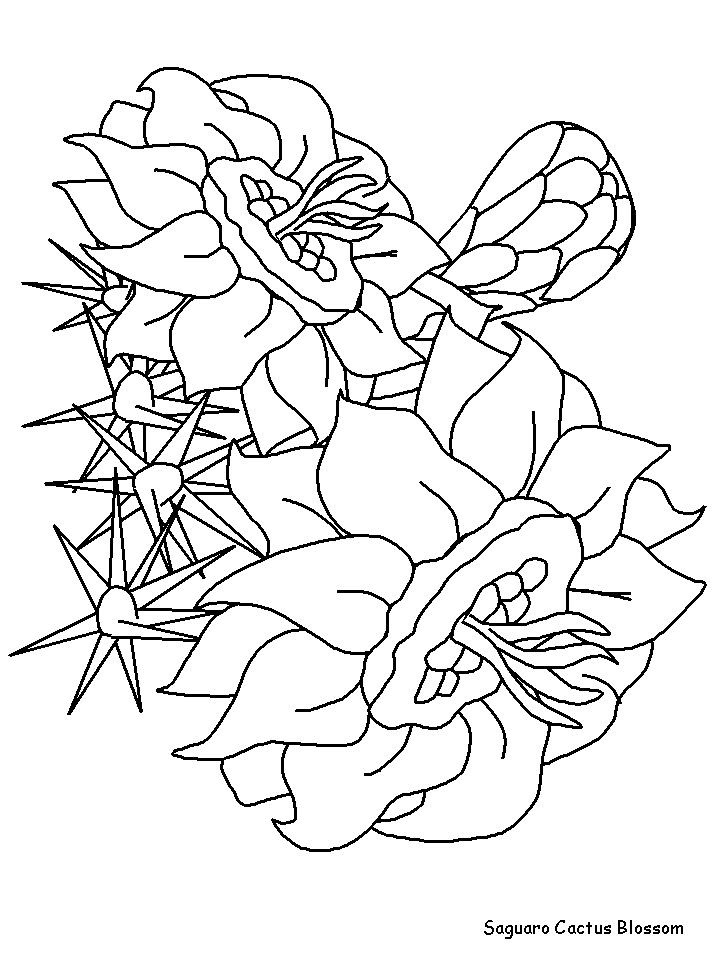 Cactus Blossom coloring #2, Download drawings