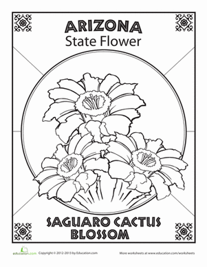 Cactus Blossom coloring #13, Download drawings