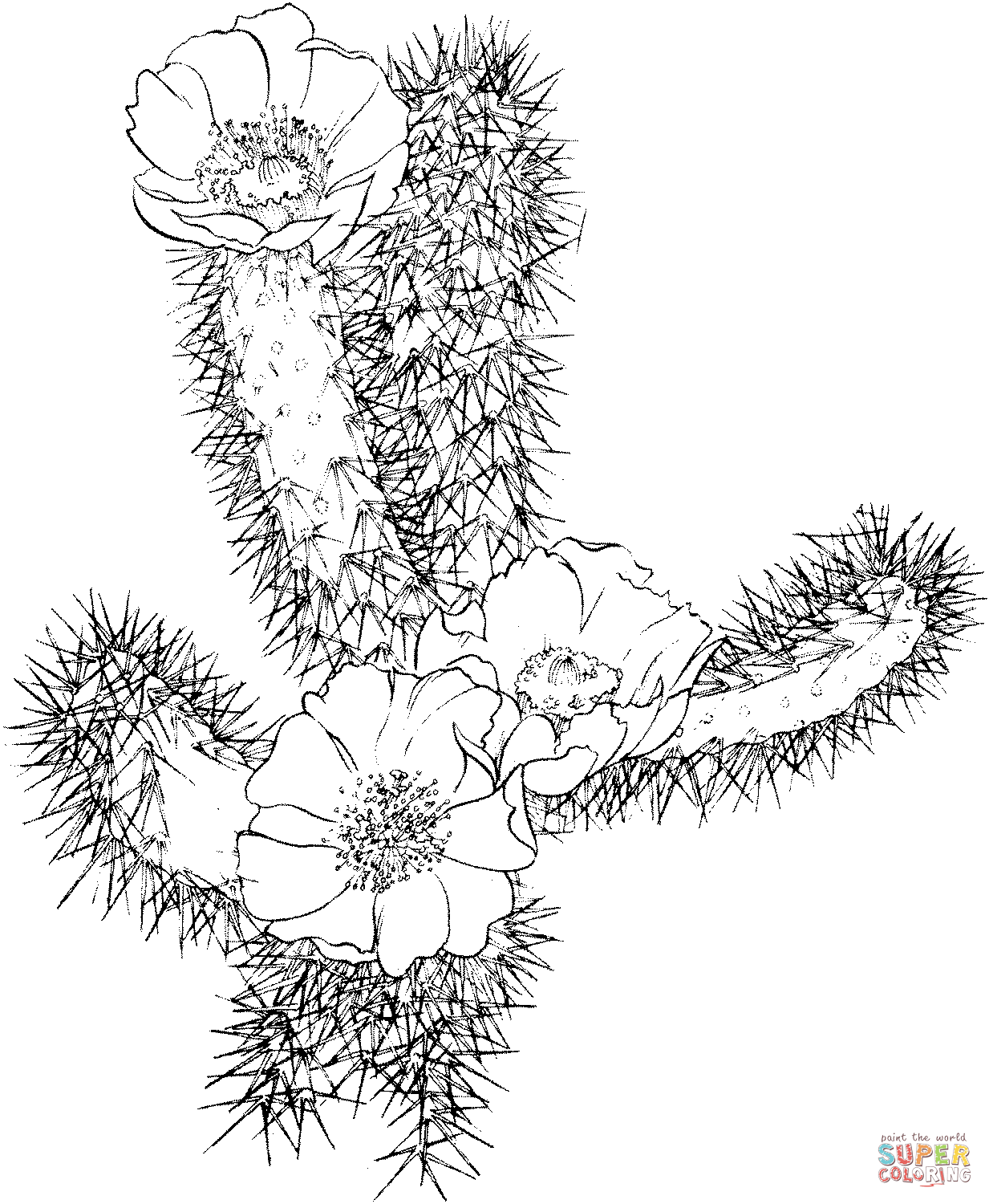 Cactus Blossom coloring #16, Download drawings