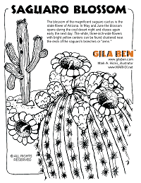 Cactus Blossom coloring #17, Download drawings