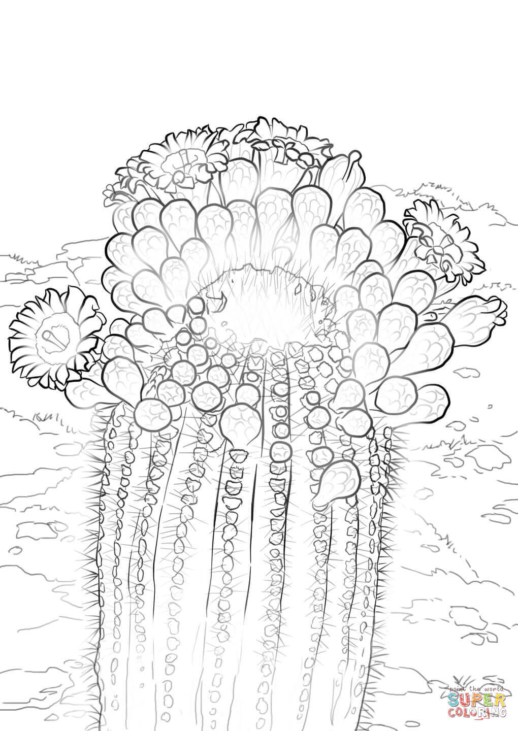 Cactus Blossom coloring #19, Download drawings