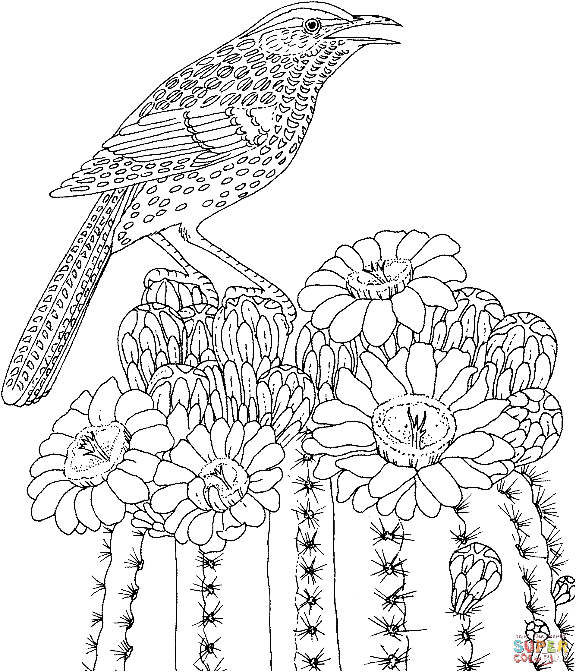 Cactus Blossom coloring #18, Download drawings