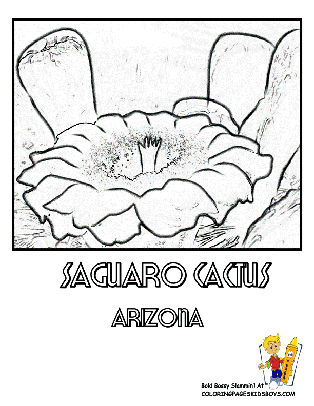 Cactus Blossom coloring #11, Download drawings