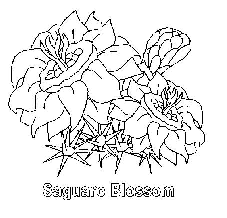 Cactus Blossom coloring #4, Download drawings
