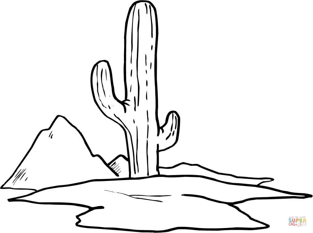 Cactus coloring #9, Download drawings