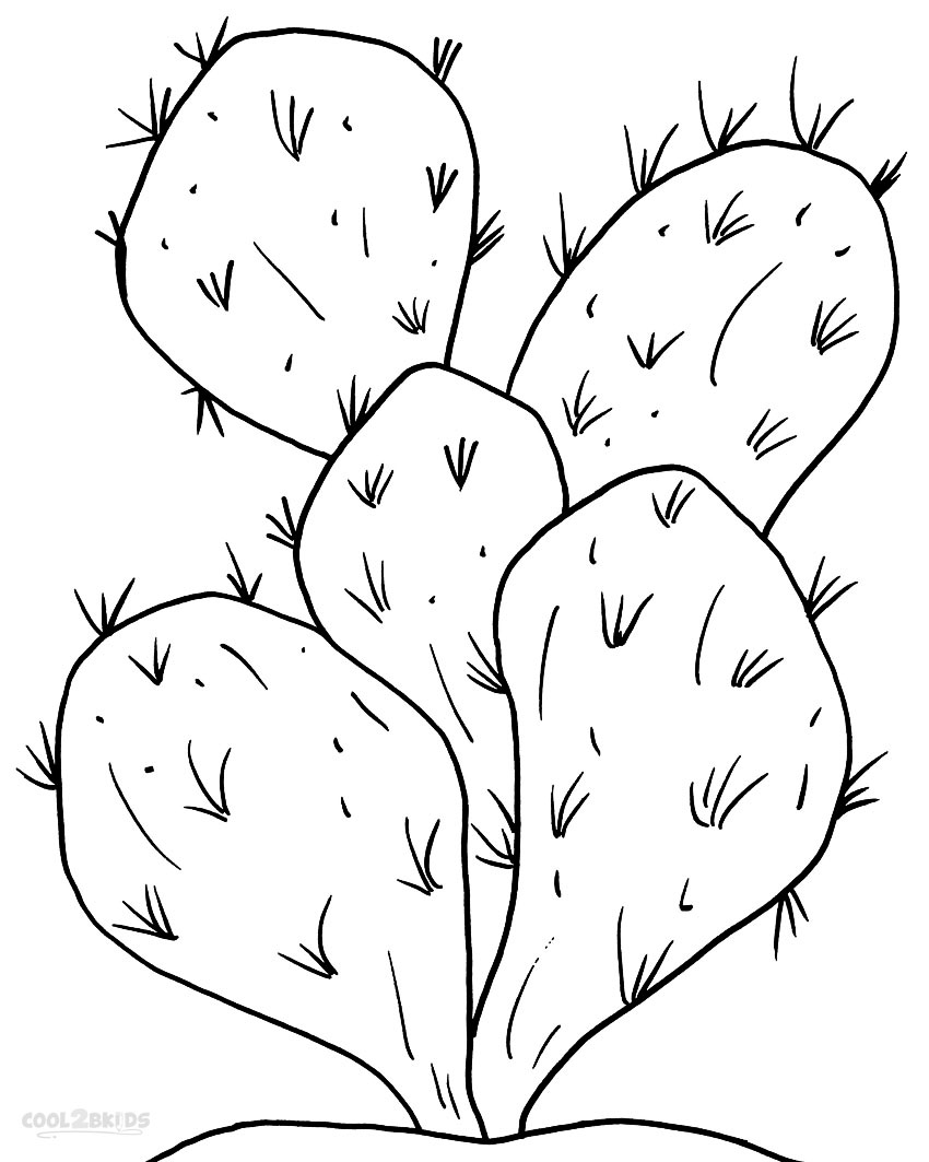 Cactus coloring #7, Download drawings