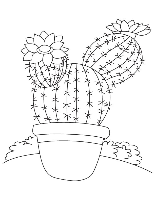 Cactus coloring #6, Download drawings