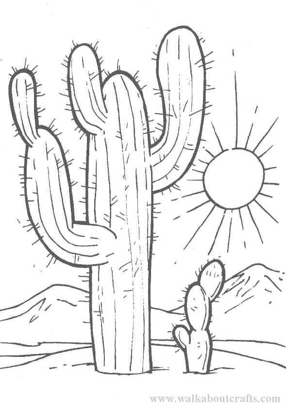 Cactus coloring #15, Download drawings