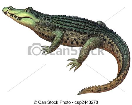 Caiman clipart #2, Download drawings