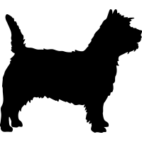 Cairn Terrier clipart #2, Download drawings