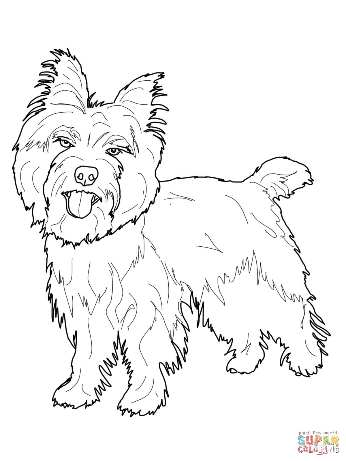 Cairn Terrier coloring #7, Download drawings