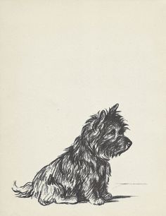 Cairn Terrier svg #3, Download drawings