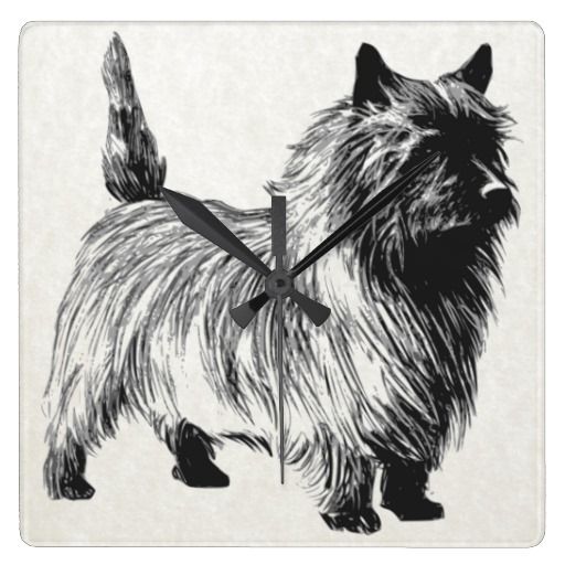 Cairn Terrier svg #11, Download drawings