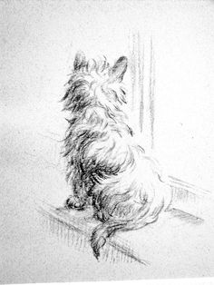 Cairn Terrier svg #4, Download drawings