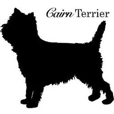 Cairn Terrier svg #2, Download drawings