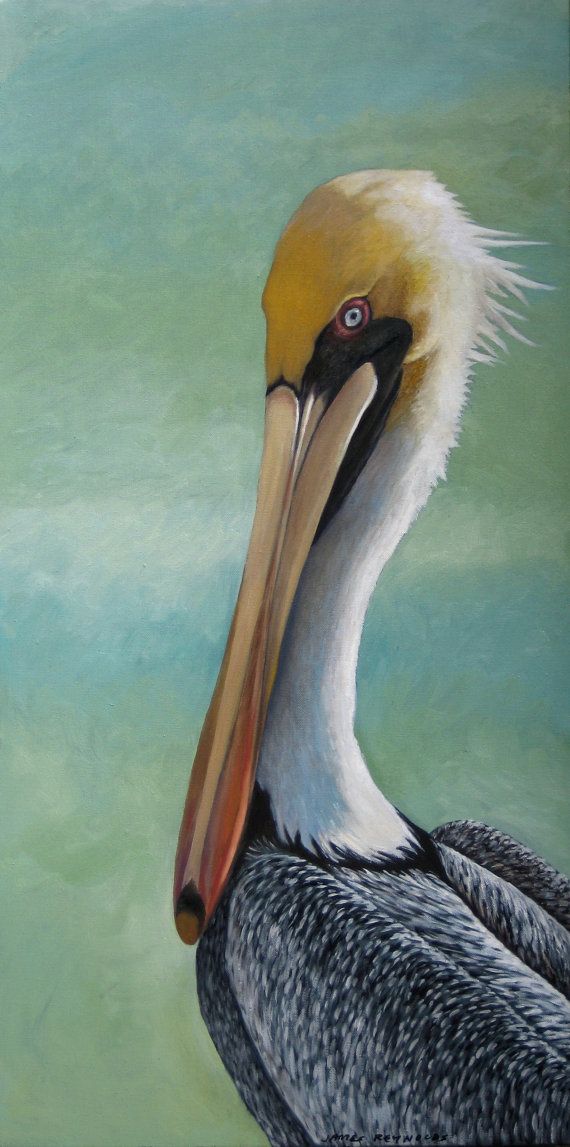 California Brown Pelicans svg #7, Download drawings
