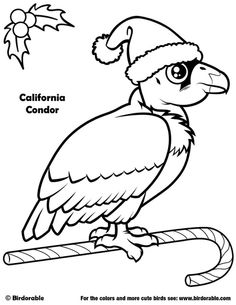 Condor coloring #8, Download drawings