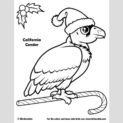 California Condor  coloring #5, Download drawings
