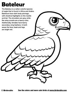 California Condor  coloring #14, Download drawings