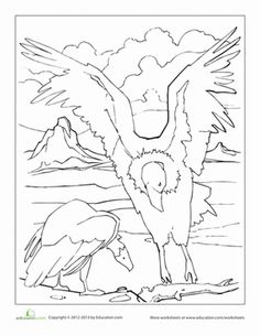 California Condor  coloring #15, Download drawings