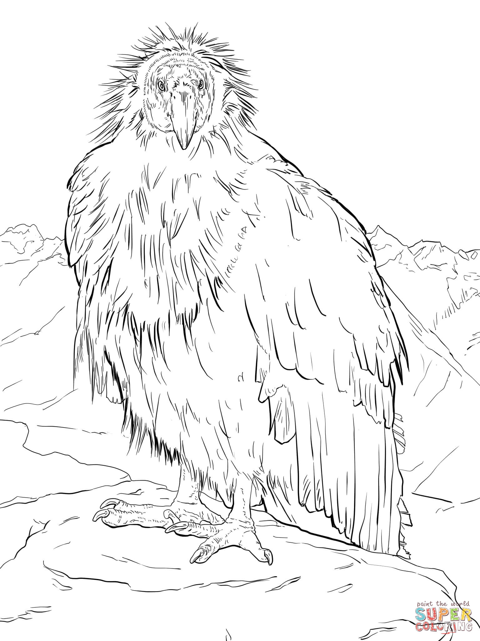 Condor coloring #2, Download drawings